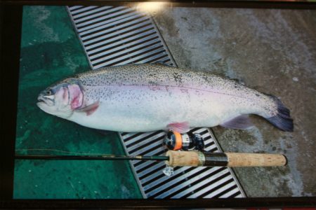 としまえんフィッシングエリア 釣果