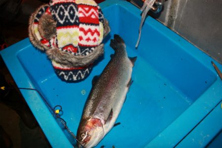 としまえんフィッシングエリア 釣果