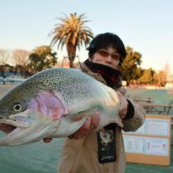 としまえんフィッシングエリア 釣果