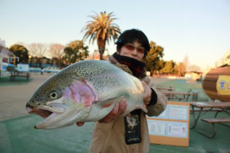 としまえんフィッシングエリア 釣果