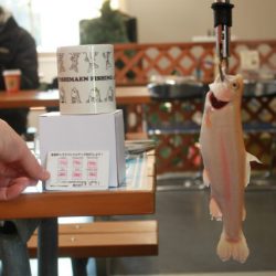 としまえんフィッシングエリア 釣果