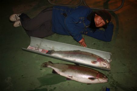 としまえんフィッシングエリア 釣果