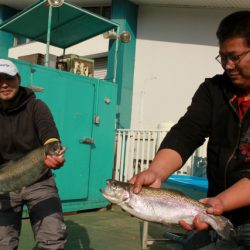 としまえんフィッシングエリア 釣果