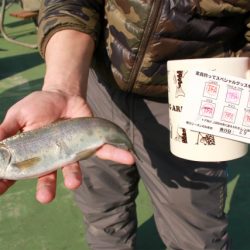 としまえんフィッシングエリア 釣果