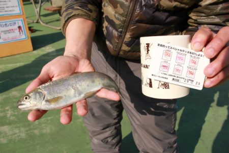 としまえんフィッシングエリア 釣果