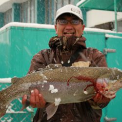 としまえんフィッシングエリア 釣果