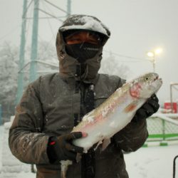 としまえんフィッシングエリア 釣果