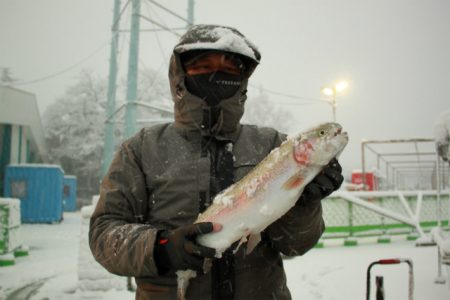 としまえんフィッシングエリア 釣果