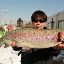 としまえんフィッシングエリア 釣果