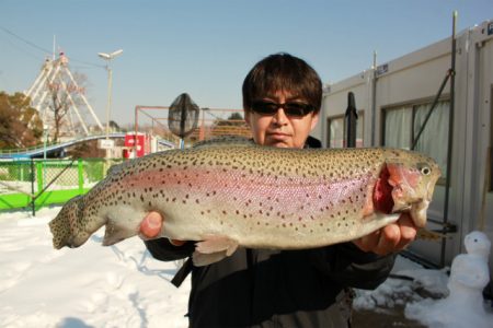 としまえんフィッシングエリア 釣果