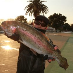 としまえんフィッシングエリア 釣果