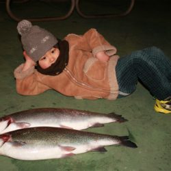 としまえんフィッシングエリア 釣果