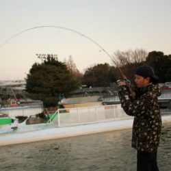 としまえんフィッシングエリア 釣果