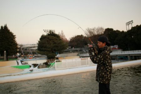 としまえんフィッシングエリア 釣果