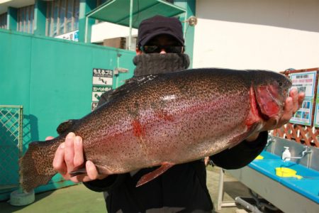としまえんフィッシングエリア 釣果