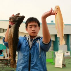 としまえんフィッシングエリア 釣果