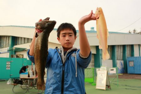 としまえんフィッシングエリア 釣果