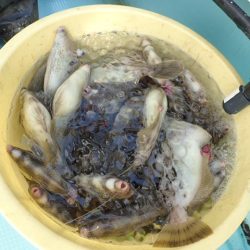 水天丸 釣果