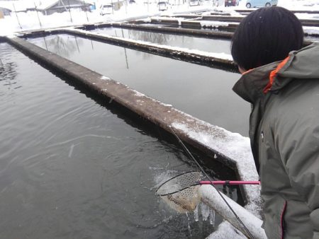 つりぼりあかし 釣果