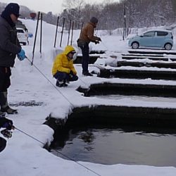 つりぼりあかし 釣果