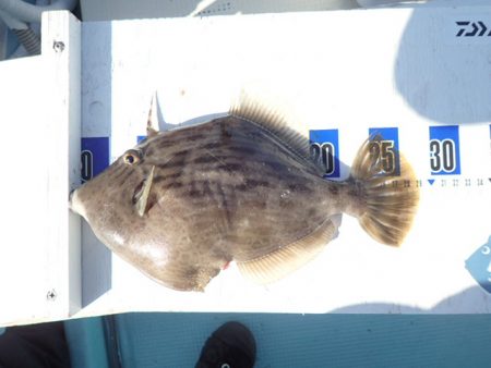 水天丸 釣果