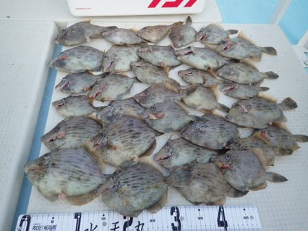 水天丸 釣果
