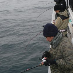 ブルースフィッシングサービス 釣果