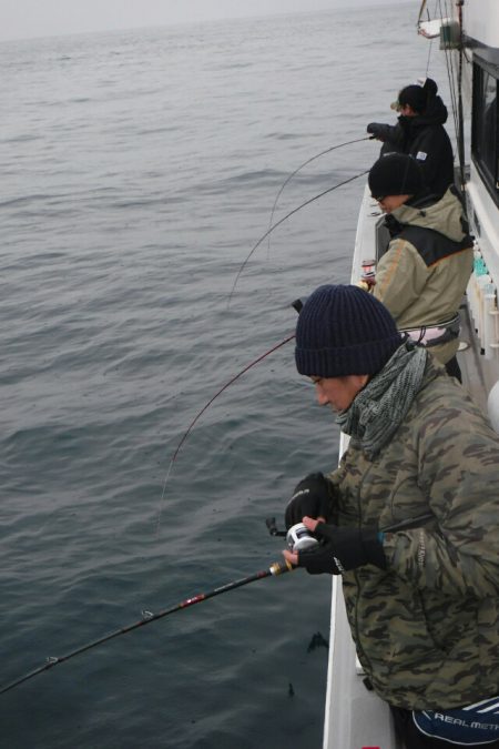 ブルースフィッシングサービス 釣果