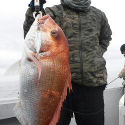 ブルースフィッシングサービス 釣果