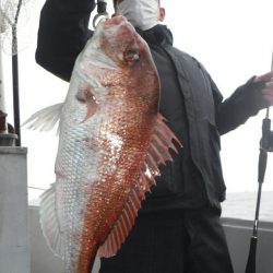ブルースフィッシングサービス 釣果