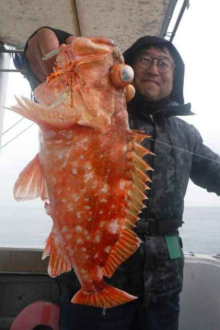 ブルースフィッシングサービス 釣果