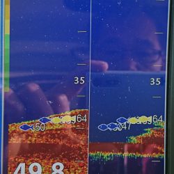 遊漁船 家入 釣果