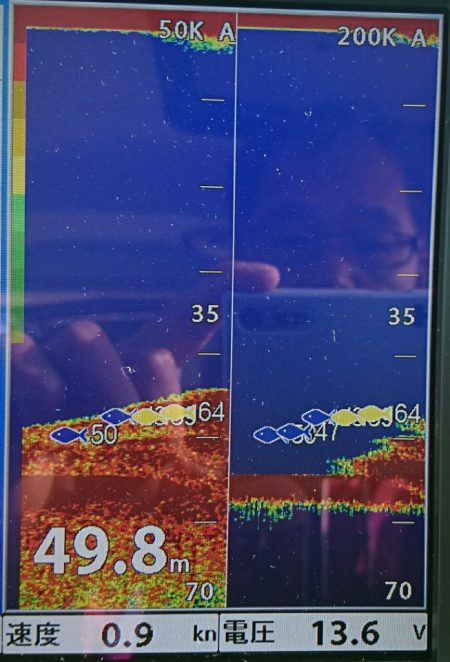 遊漁船 家入 釣果