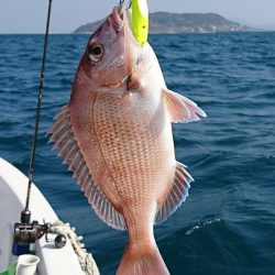 遊漁船 家入 釣果