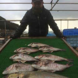 海の釣堀 海恵 釣果