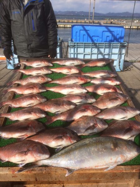 海の釣堀 海恵 釣果
