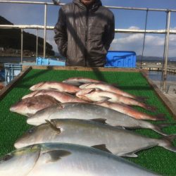 海の釣堀 海恵 釣果