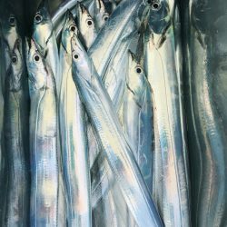 金沢八景鴨下丸 釣果