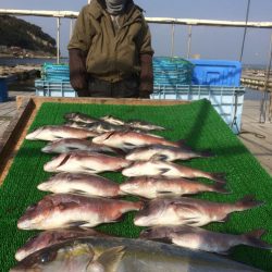 海の釣堀 海恵 釣果