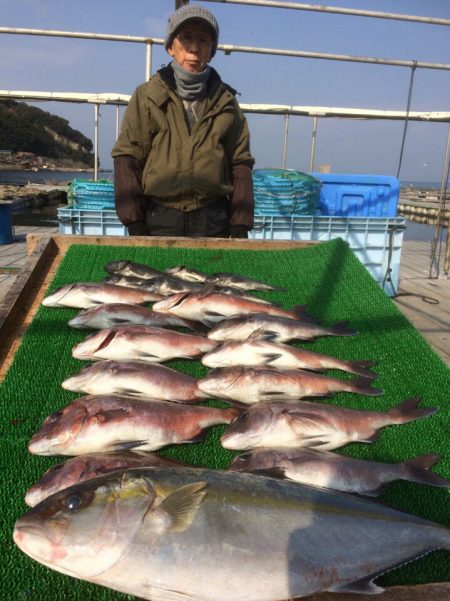 海の釣堀 海恵 釣果