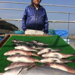海の釣堀 海恵 釣果