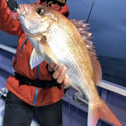 新幸丸 釣果