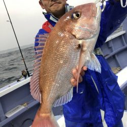 新幸丸 釣果