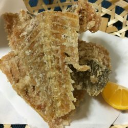 タイラバ遊漁船 ワンピース 釣果