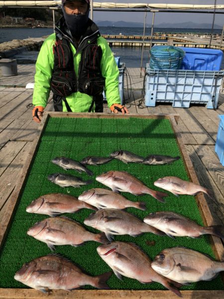 海の釣堀 海恵 釣果