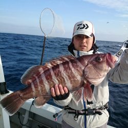 エンペラー 釣果