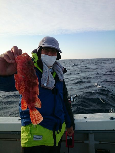 エンペラー 釣果