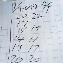 金沢八景鴨下丸 釣果