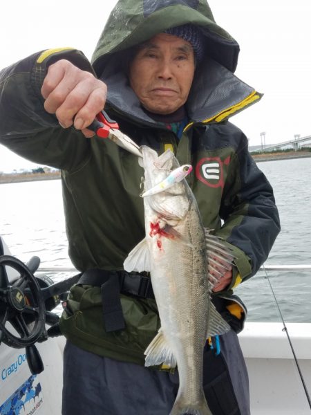 海龍丸（島根） 釣果