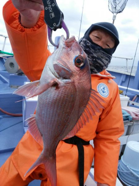 新幸丸 釣果